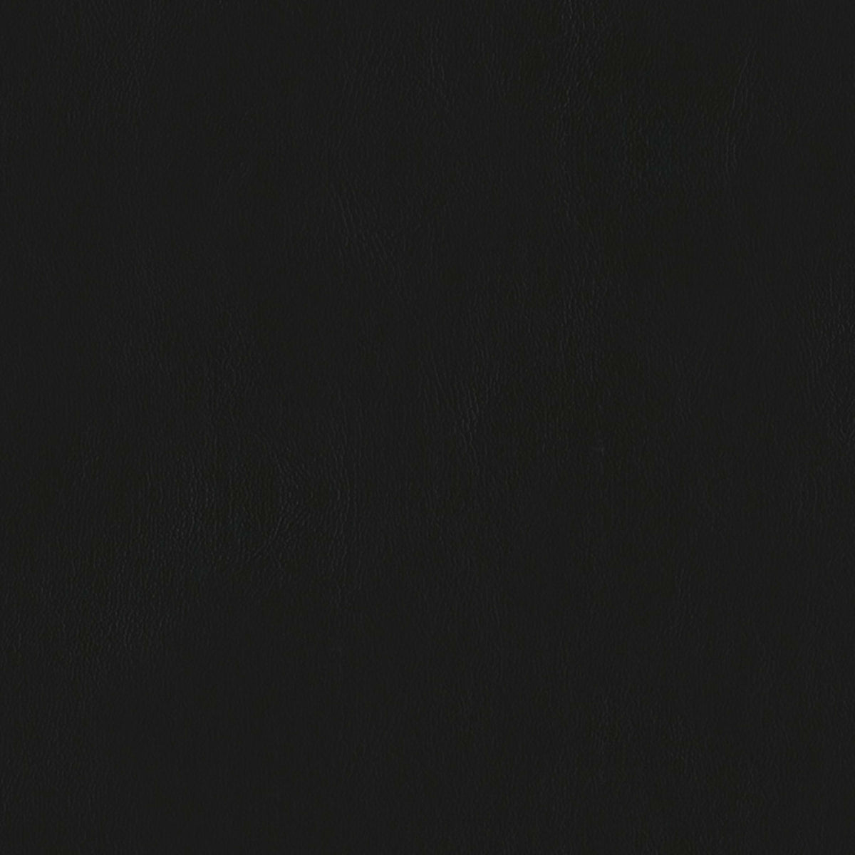 E-Z Wallaby Black Vinyl |#|