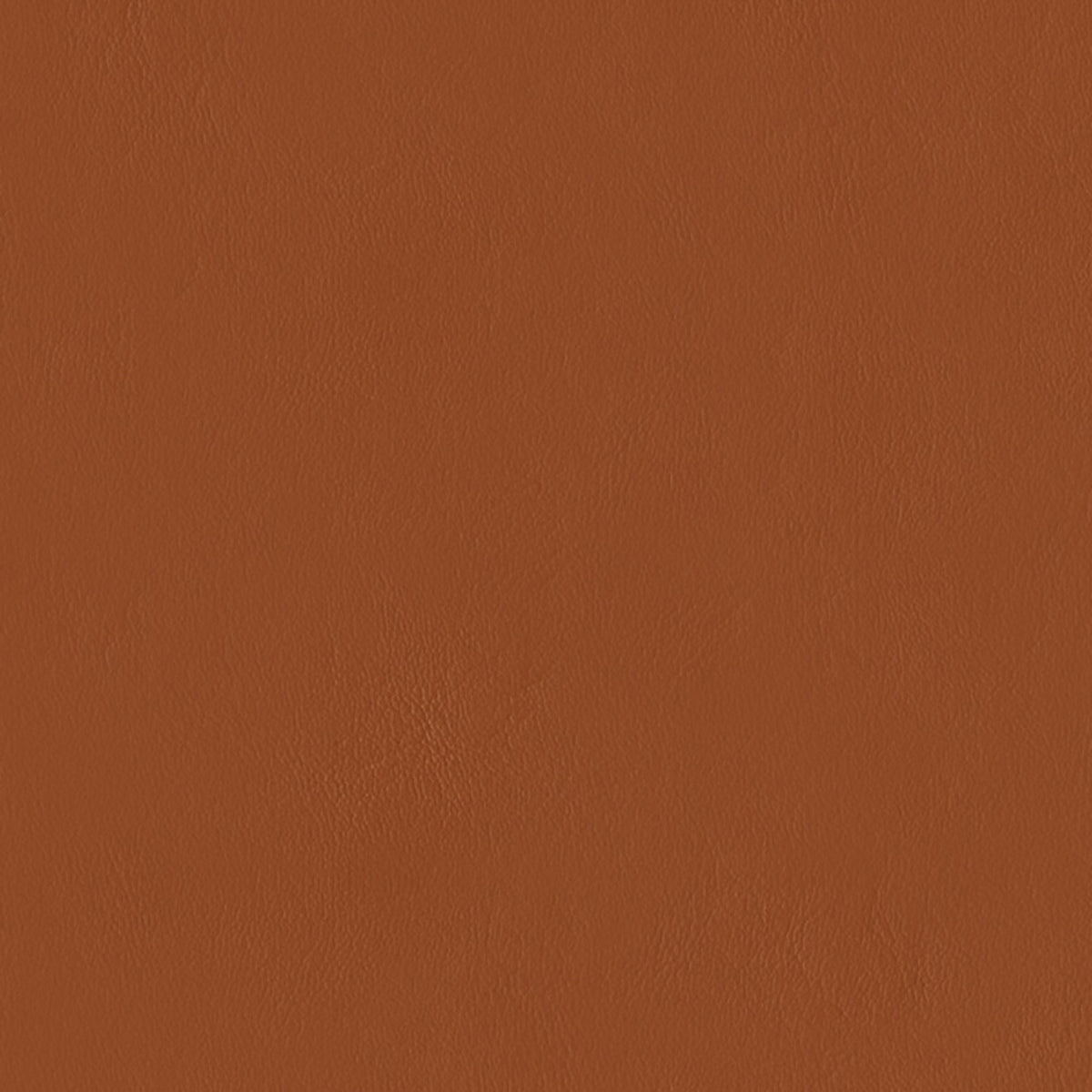 E-Z Wallaby Clay Vinyl |#|