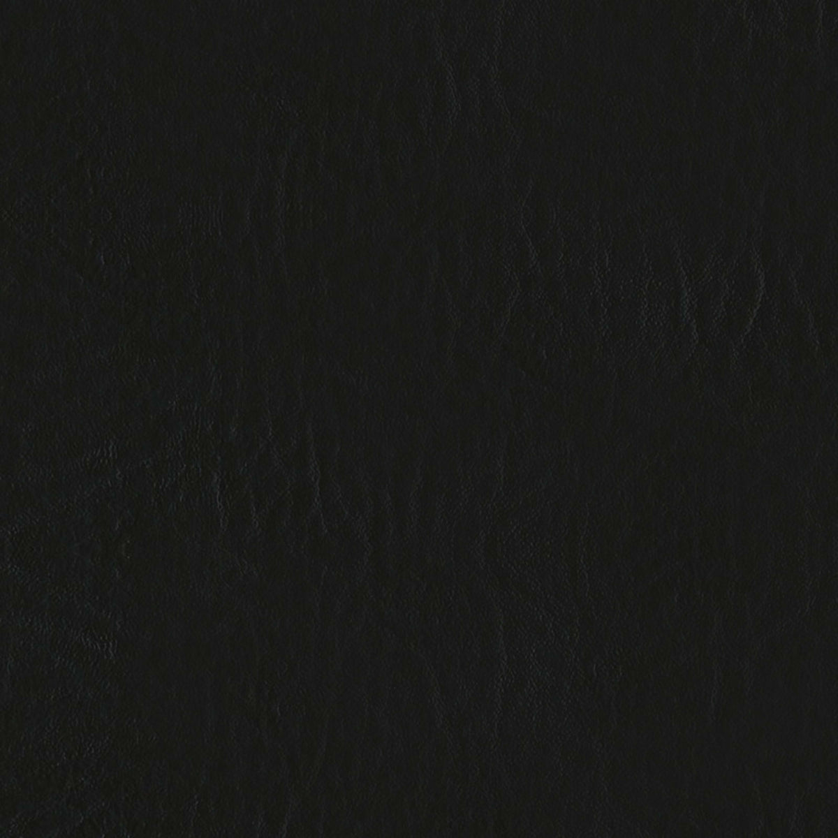 E-Z Heidi Black Vinyl |#|