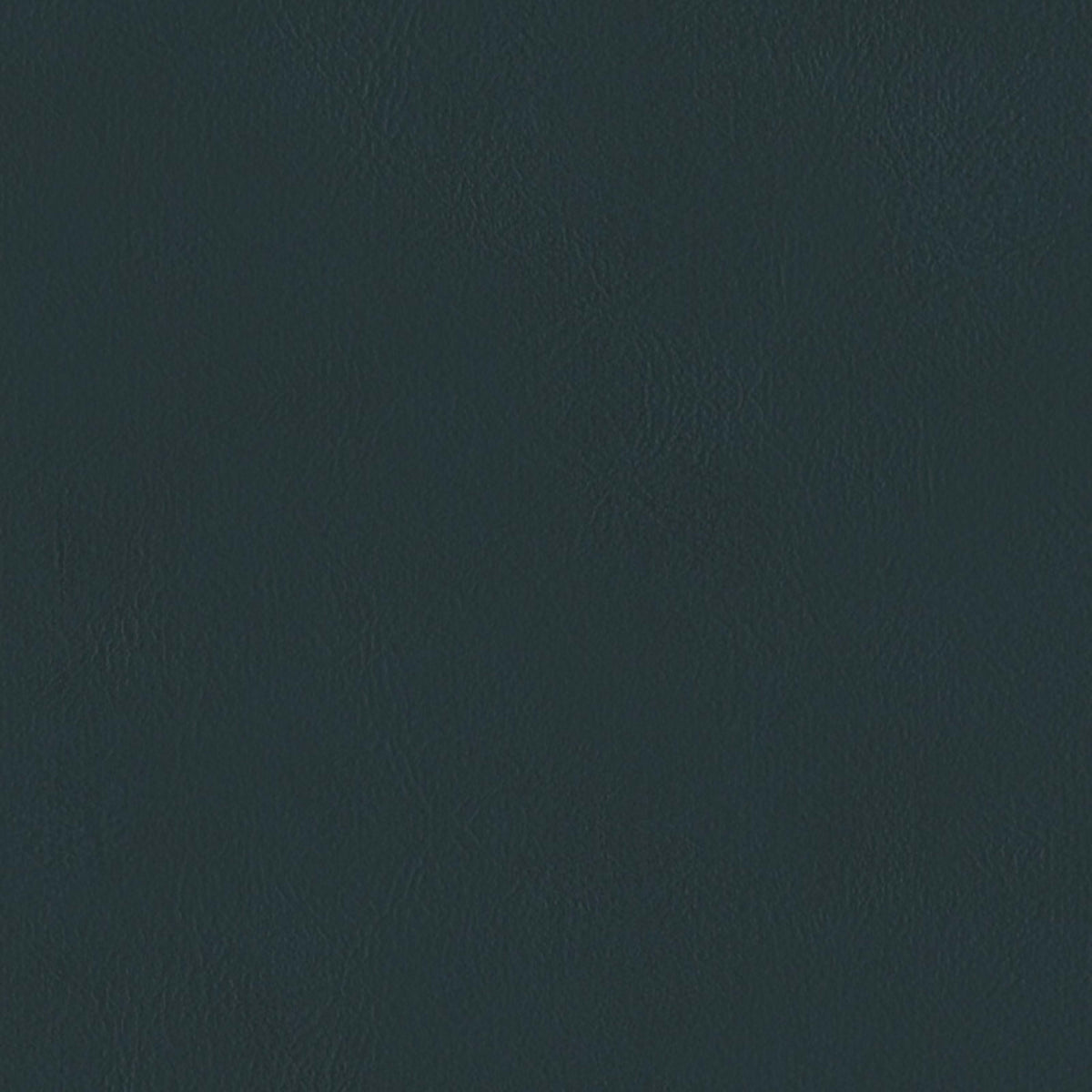 E-Z Sierra Sierra Royal Vinyl |#|