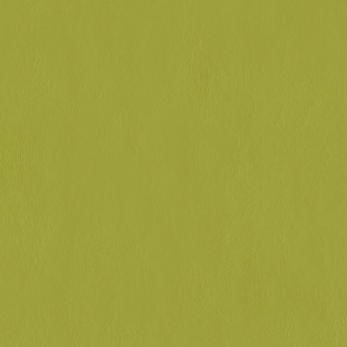 E-Z Wallaby Lime Vinyl |#|
