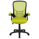 Green |#| High Back Green Mesh Ergonomic Office Chair with Black Frame and Flip-up Arms