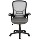 Light Gray |#| High Back Light Gray Mesh Ergonomic Office Chair w/ Black Frame and Flip-up Arms