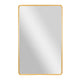 Gold,30"W x 48"L |#| Large Rectangular Accent Mirror with 2 Inch Deep Iron Frame in Gold - 48" x 30"