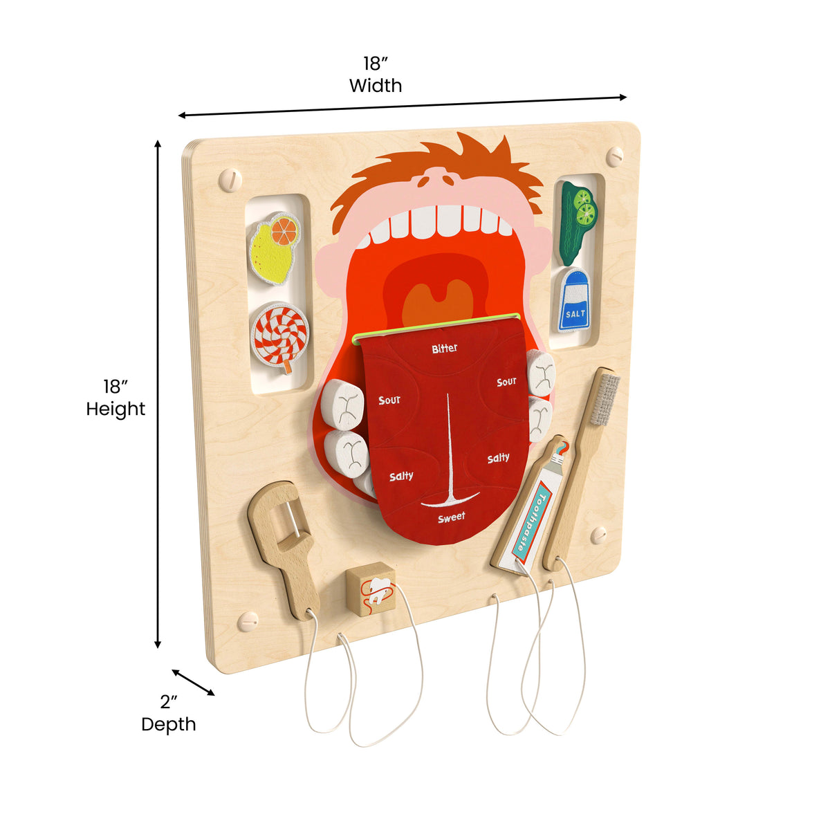 Commercial Grade STEAM Wall Wooden Dental Hygiene Accessory Board - Multicolor