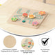 Commercial Grade Wooden STEM Insect Sliding Maze Puzzle Board-Natural/Multicolor