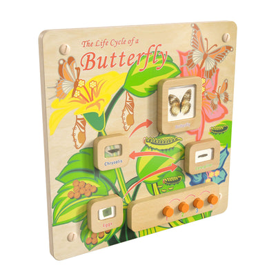 Bright Beginnings Commercial Grade Wooden Butterfly Life Cycle STEAM Wall Accessory Board - View 1