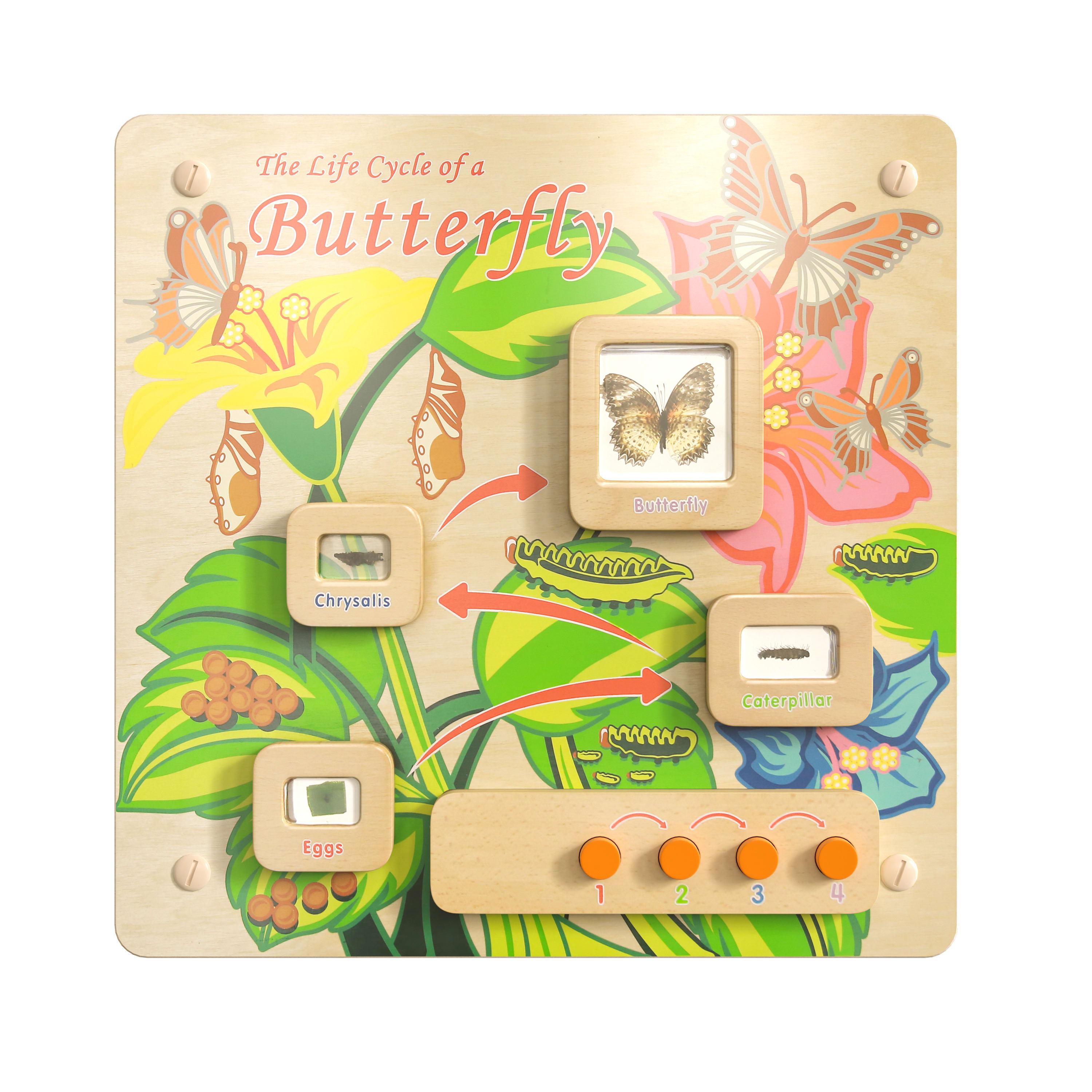 Life Cycle Wooden STEAM Board MK-ME12883- – BizChair