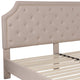 Beige,King |#| King Size Arched Tufted Upholstered Platform Bed in Beige Fabric