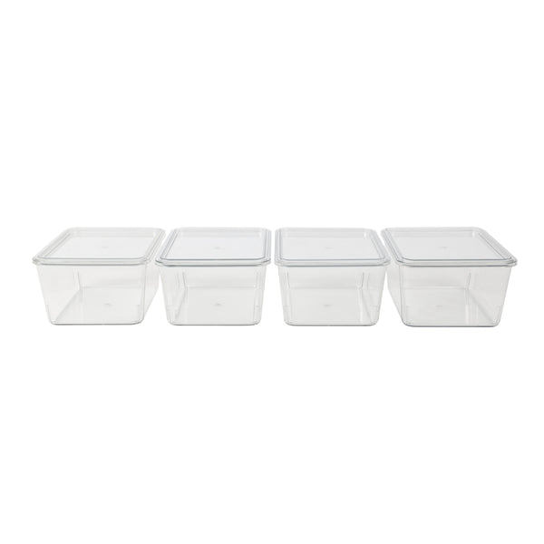 Premium 6.75" x 5" Clear Plastic Storage Boxes with Lids - Set of 4