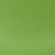 Green |#| Green Plastic Chair with Wooden Legs - Hospitality Seating - Side Chair