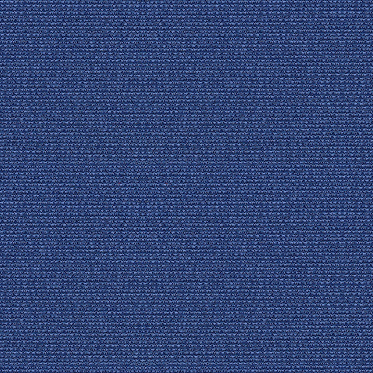 Phoenix Sailor Fabric |#| 