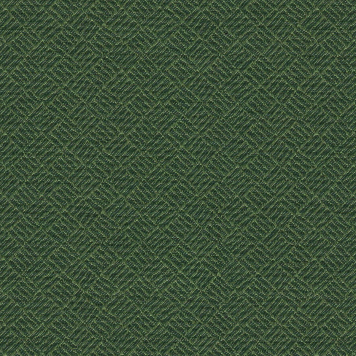 Fiji Aloe Fabric |#| 