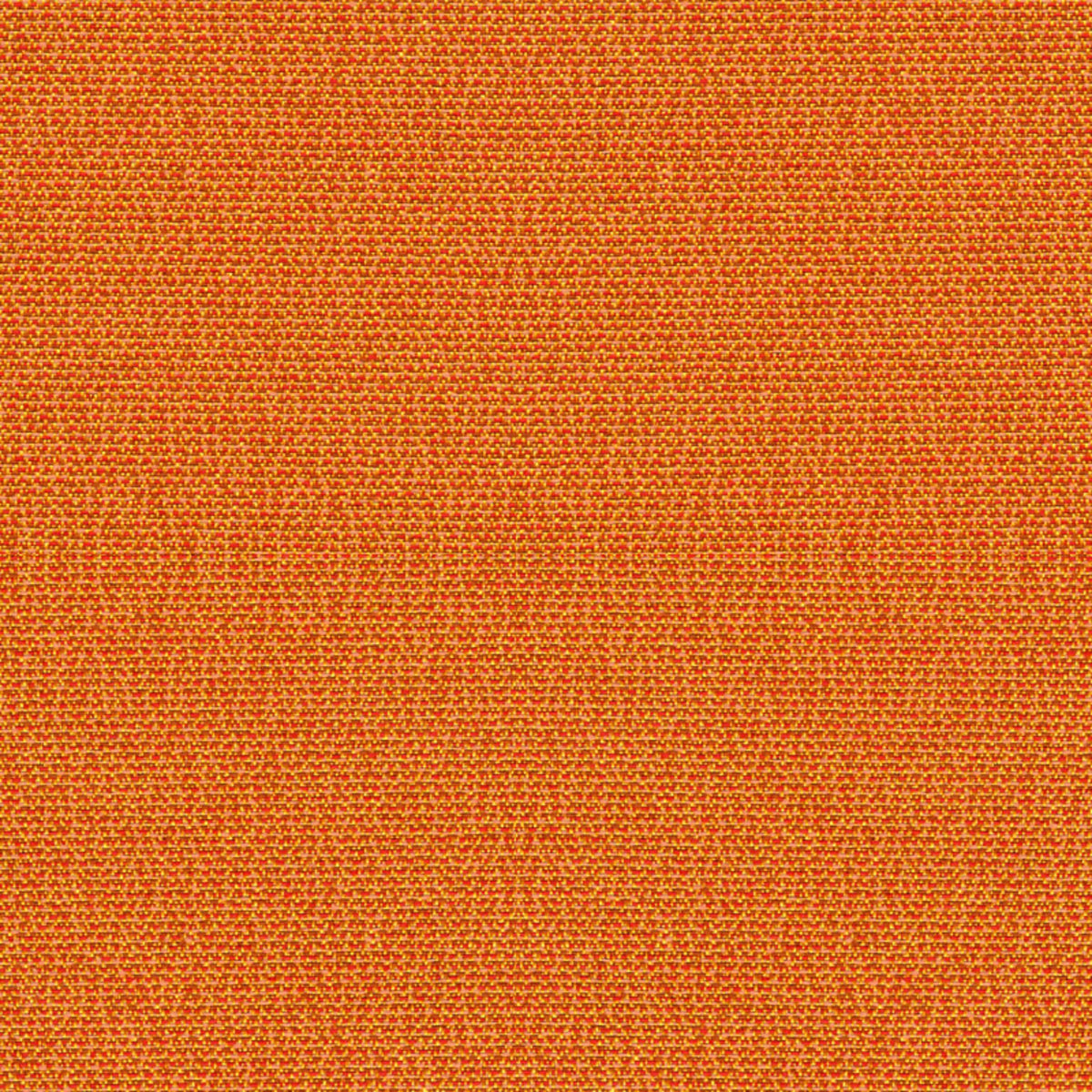 Phoenix All Spice Fabric |#| 