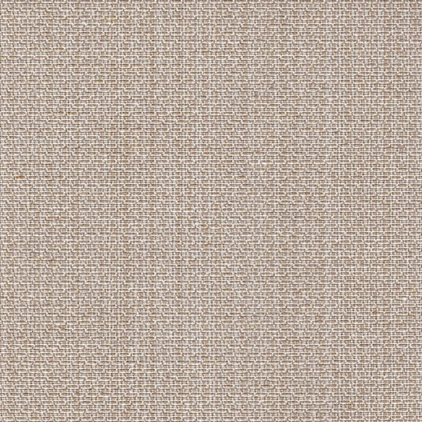 Sammie Joe Chocolate Fabric |#| 