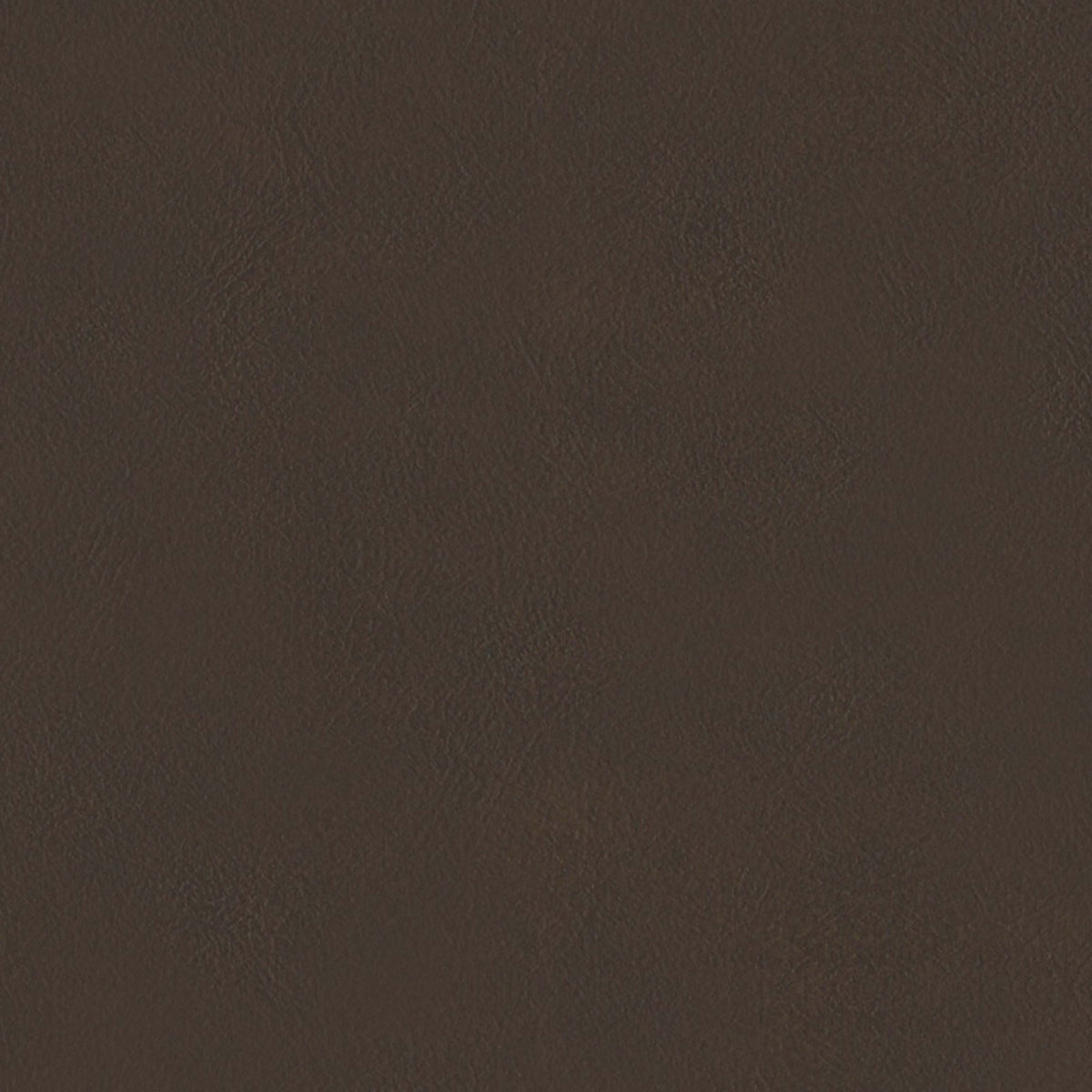E-Z Sierra Brown Vinyl |#| 