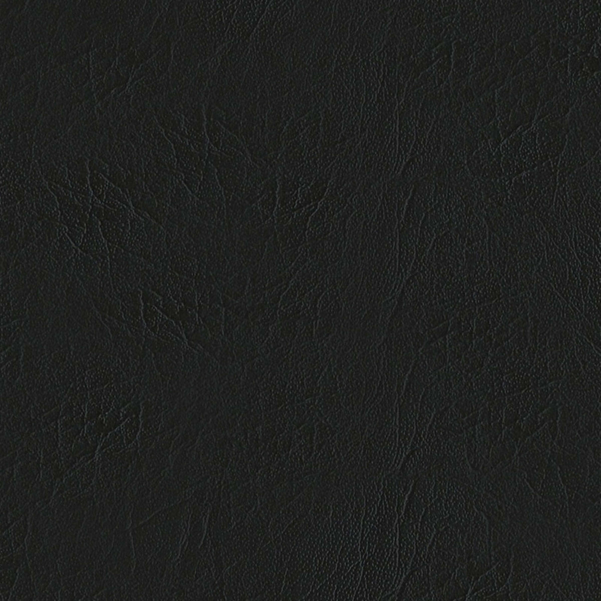 E-Z Oxen Black Vinyl |#| 