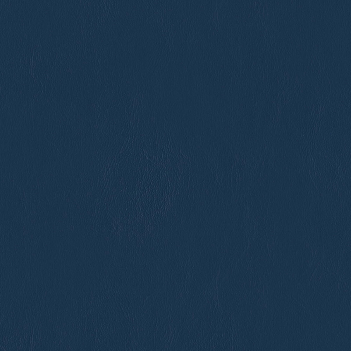 E-Z Wallaby Royal Vinyl |#| 