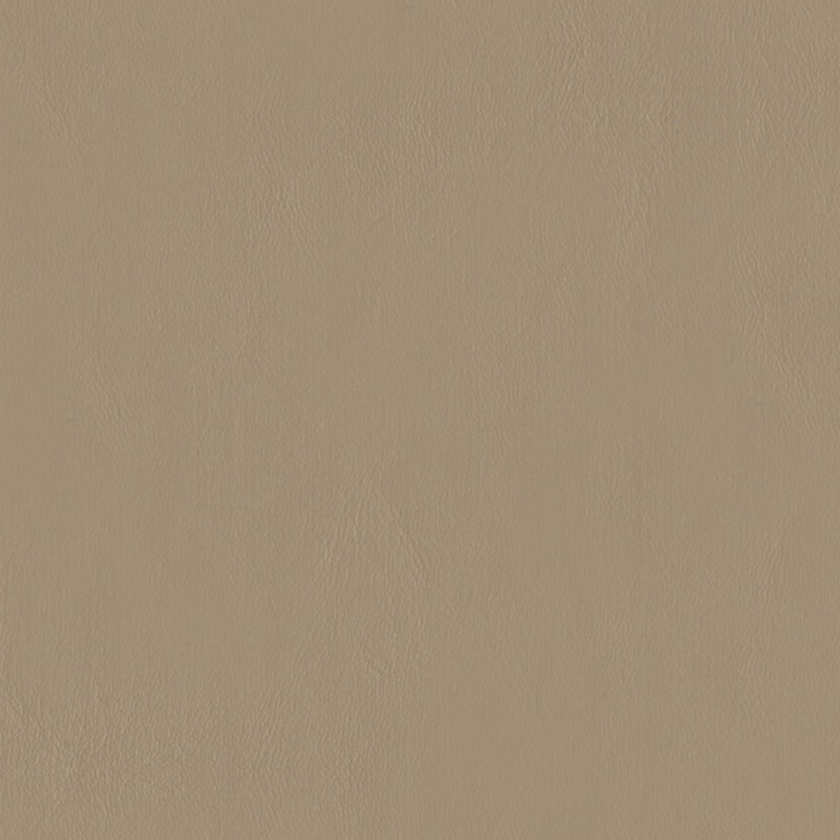 E-Z Wallaby Neutral Vinyl |#| 