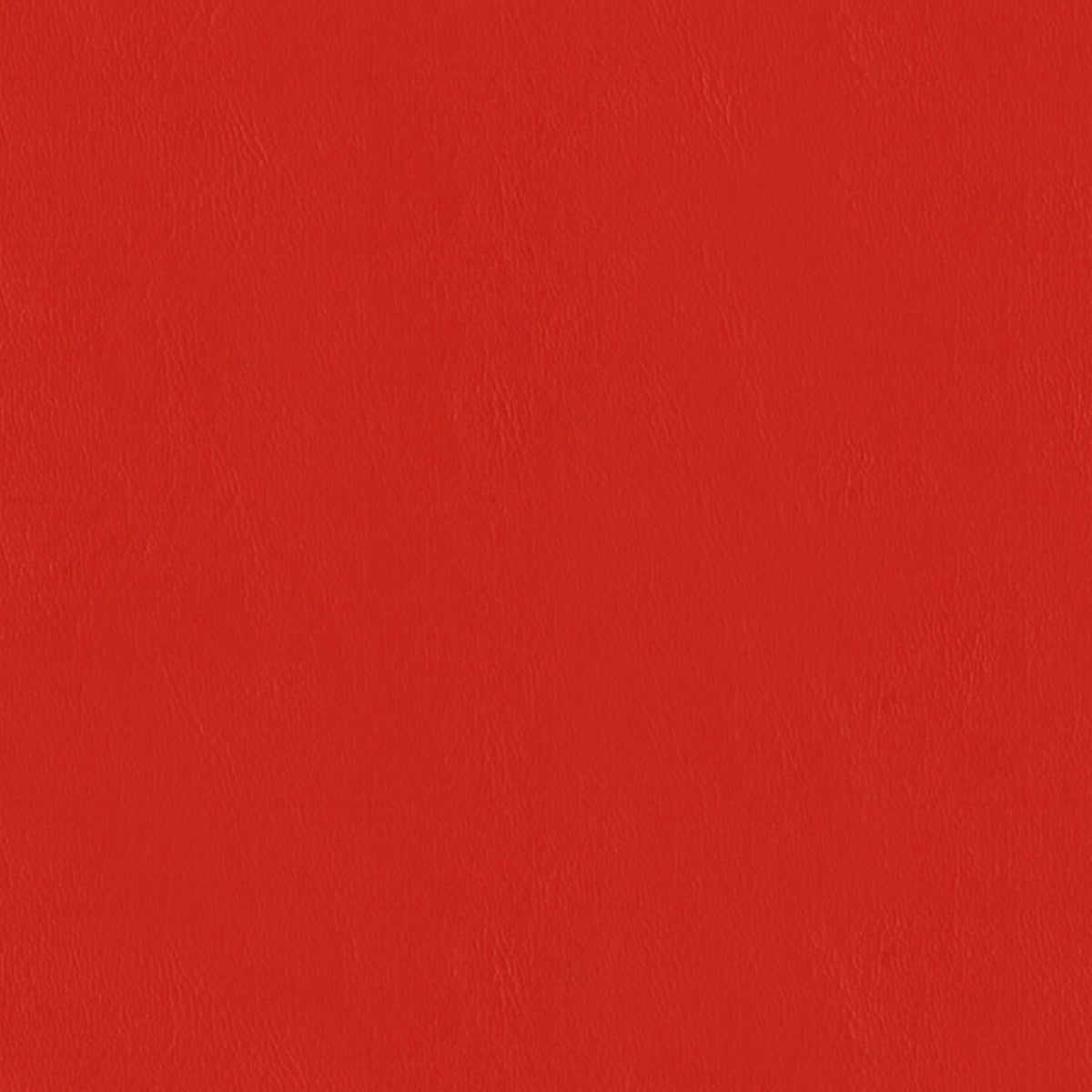 E-Z Wallaby Poppy Vinyl |#| 