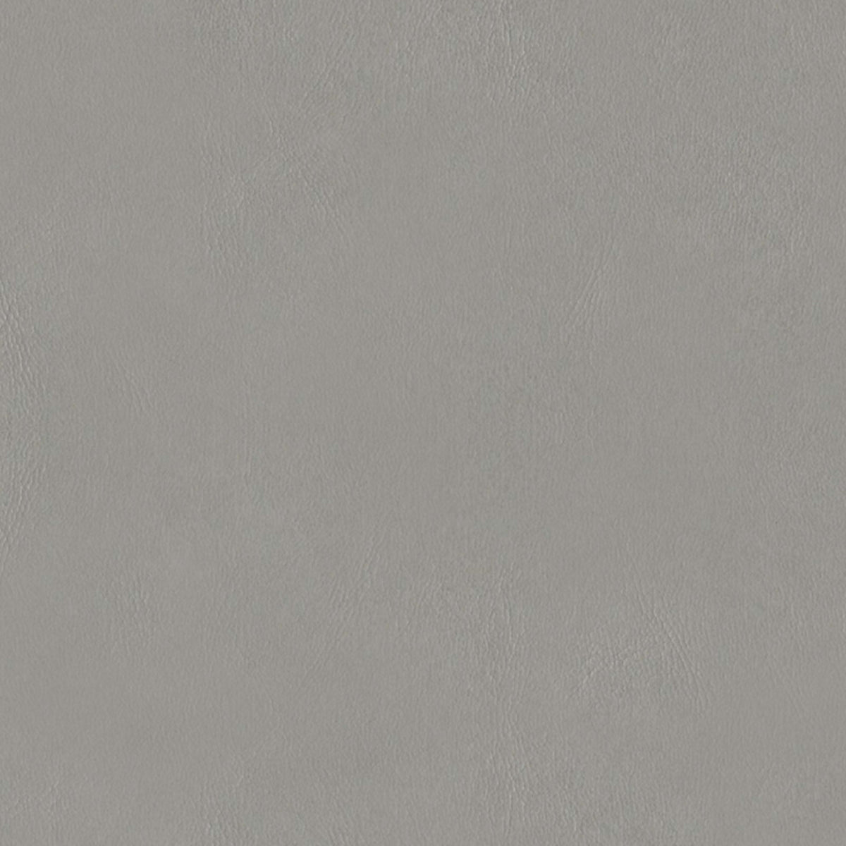 E-Z Wallaby Gray Vinyl |#| 