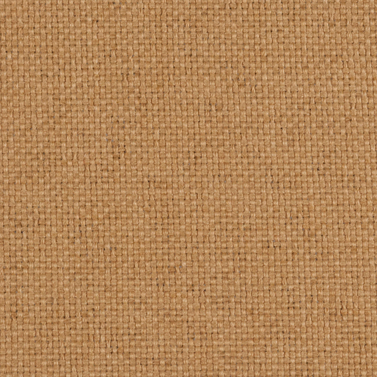 Sherpa Amber Fabric |#| 