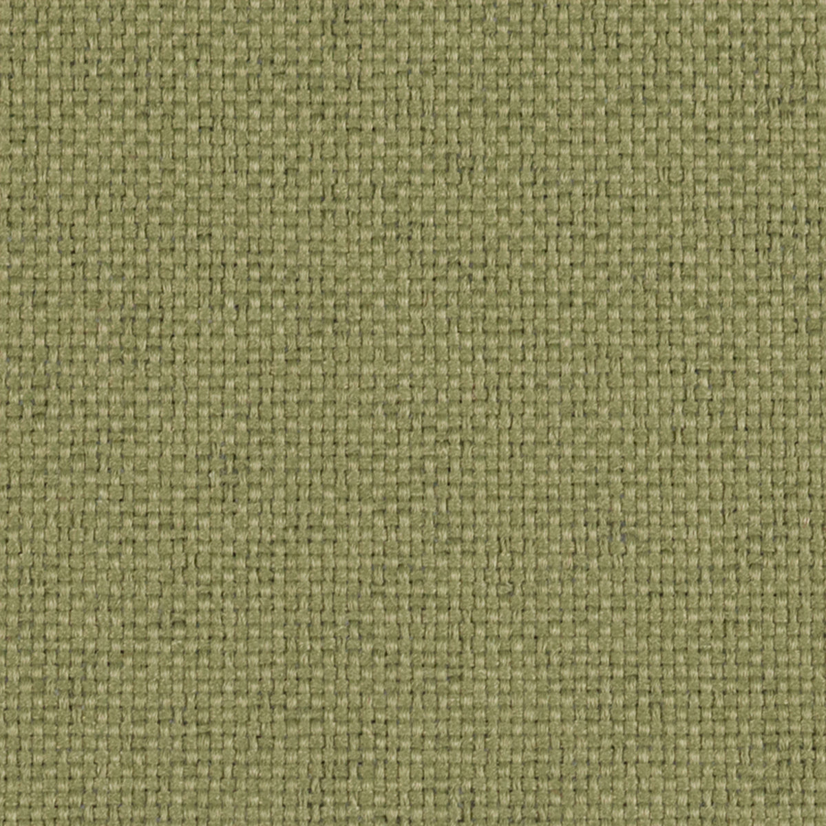 Sherpa Leap Frog Fabric |#| 