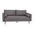 Evie Mid-Century Modern Sofa with Fabric Upholstery & Solid Wood Legs