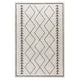 5' x 7' |#| 5' x 7' Ivory & Black Geometric Bohemian Shag Rug