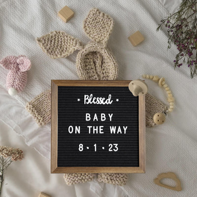 Gracie Felt Letter Board with Wooden Frame, 389 PP Letters Including Numbers, Symbols and Icons, Canvas Carrying Case