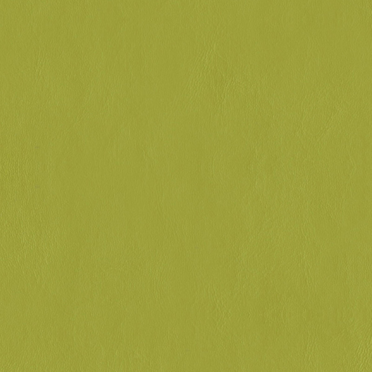 E-Z Wallaby Lime Vinyl |#| 