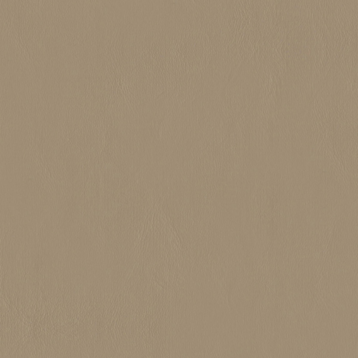 E-Z Wallaby Neutral Vinyl |#| 