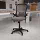 Light Gray |#| High Back Light Gray Mesh Ergonomic Office Chair w/ Black Frame and Flip-up Arms