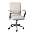 Taupe LeatherSoft/Chrome Frame |#| Designer Executive Swivel Office Chair with Brushed Chrome Arms and Base, Taupe