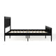 Black,Queen |#| Wooden Queen Platform Bed with Rattan Inset Headboard and Footboard-Black