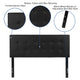 Black,Full |#| Button Tufted Upholstered Full Size Headboard in Black Vinyl