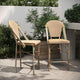 Natural & White/Light Natural Frame |#| 2 Pack All-Weather Commercial Paris Stools with Bamboo Print Frame-Natural/White