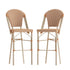 Lourdes Set of 2 Commercial Grade Stackable Indoor/Outdoor Bistro 30" High Bar Height Stools