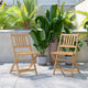 Indoor/Outdoor Solid Acacia Wood Folding Bistro Chairs in Natural - Set of 2