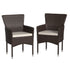 Maxim Modern Wicker Patio Armchairs for Deck or Backyard, Fade and Weather-Resistant Frames and Cushions