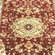 Burgundy,3' x 10' |#| Multipurpose Persian Style Olefin Medallion Motif Area Rug in Burgundy - 3 x 10