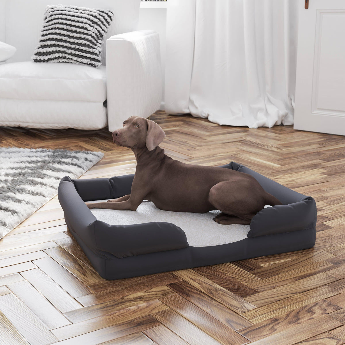 Medium |#| Orthopedic 36inch x 28inch Memory Foam Dog Bed - Removable, Washable Cover-Gray