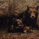 6' x 9' |#| Nature Inspired Mother Bear with 2 Cubs Brown Indoor Olefin Area Rug - 6' x 9'