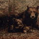 5' x 7' |#| Nature Inspired Mother Bear with 2 Cubs Brown Indoor Olefin Area Rug - 5' x 7'