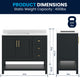 Black Frame/Gold Hardware,42" |#| 42" Bathroom Vanity with Sink, Open Storage, and Storage Drawers in Black
