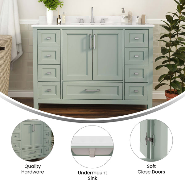 Gray |#| 48 Inch Bathroom Vanity with Sink, Storage Cabinet, and 9 Drawers in Gray
